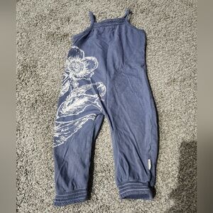 Burts Bees Baby Blue Romper with White Flowers